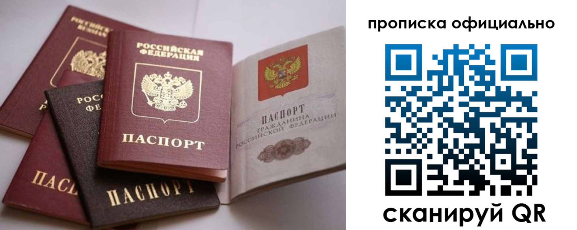 прописка штамп в Лузе
